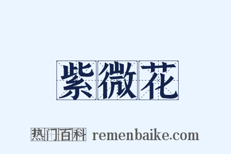 紫微花是什么意思的图片